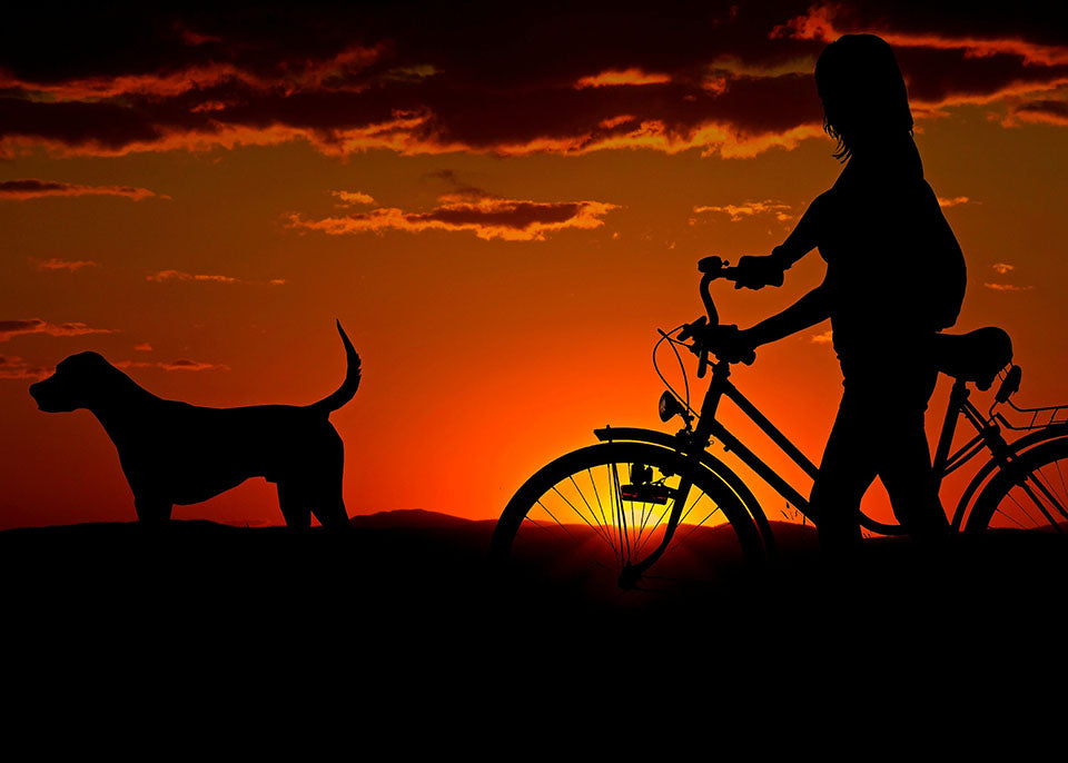 Abendspaziergang mit Hund und Velo DIY Diamond Painting exclusive edited by MiJa