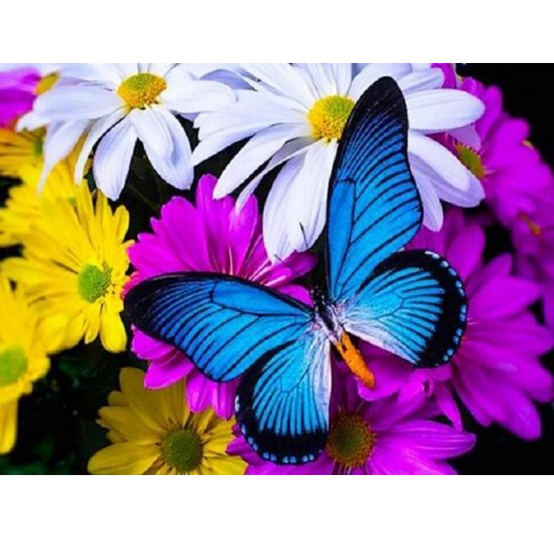 Blauer Schmetterling DIY Diamond Painting mit runden oder eckigen Steinli