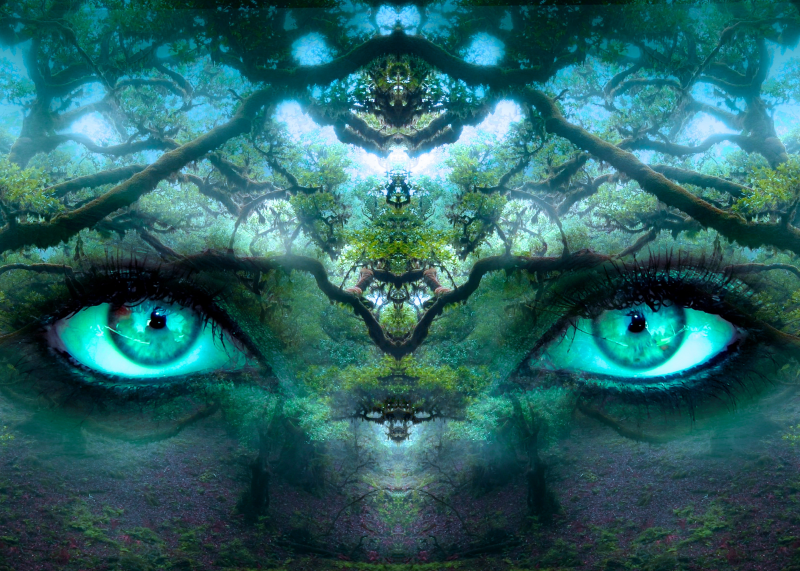 Fantasy Augen Bäume