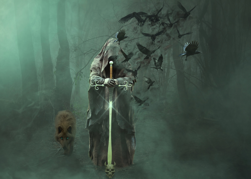 Magier Zauberer Wolf Krähen