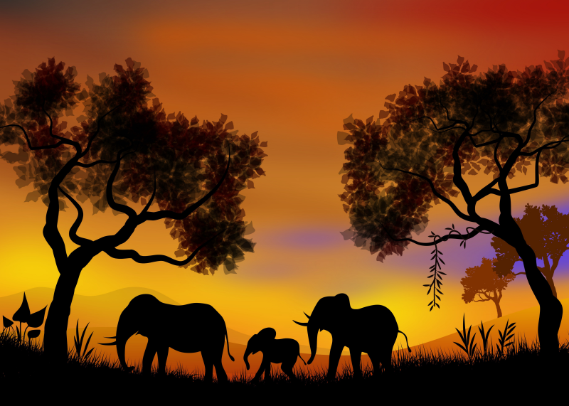 Elefanten Afrika